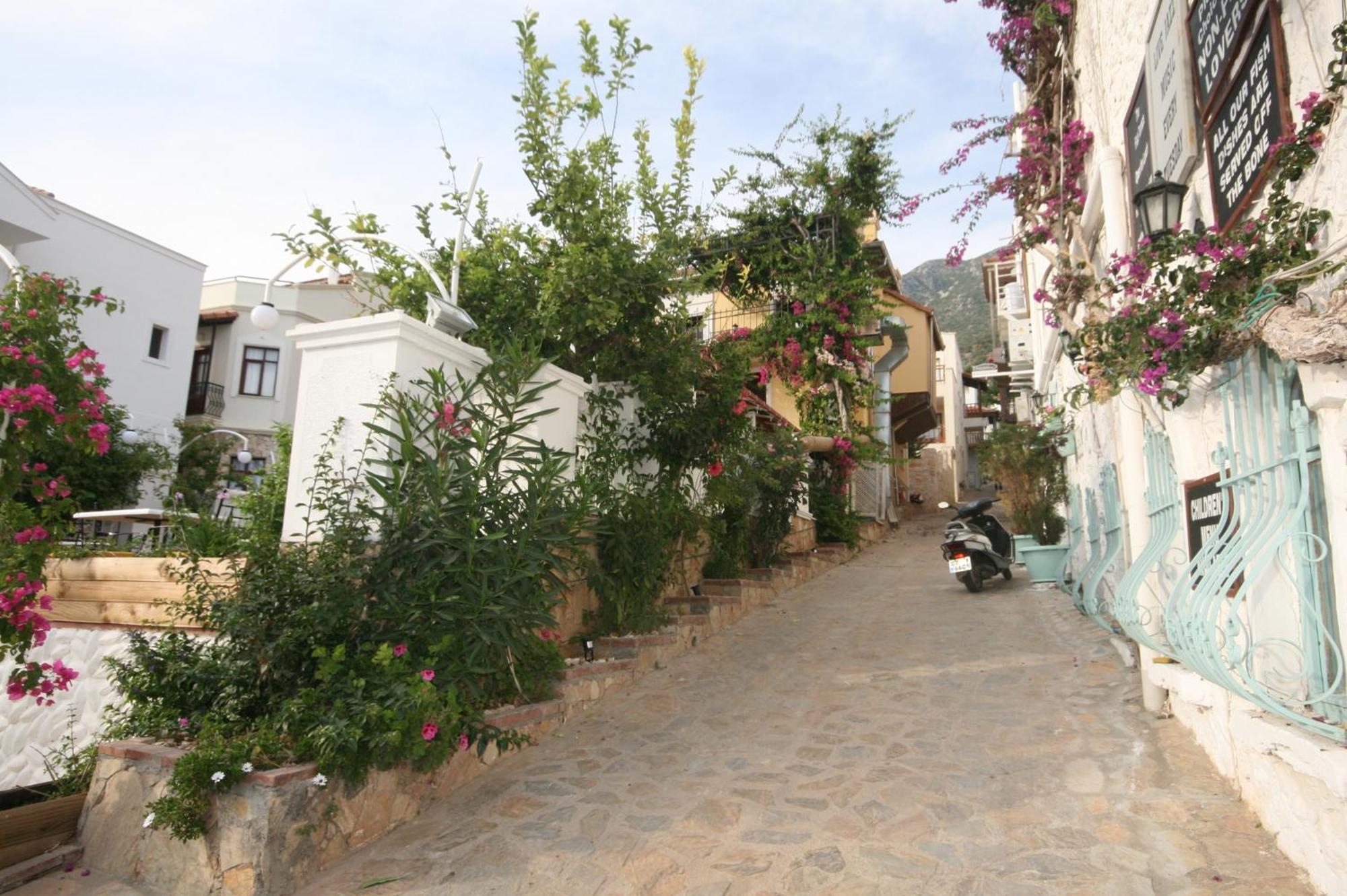 Smart Aparts Kalkan Buitenkant foto